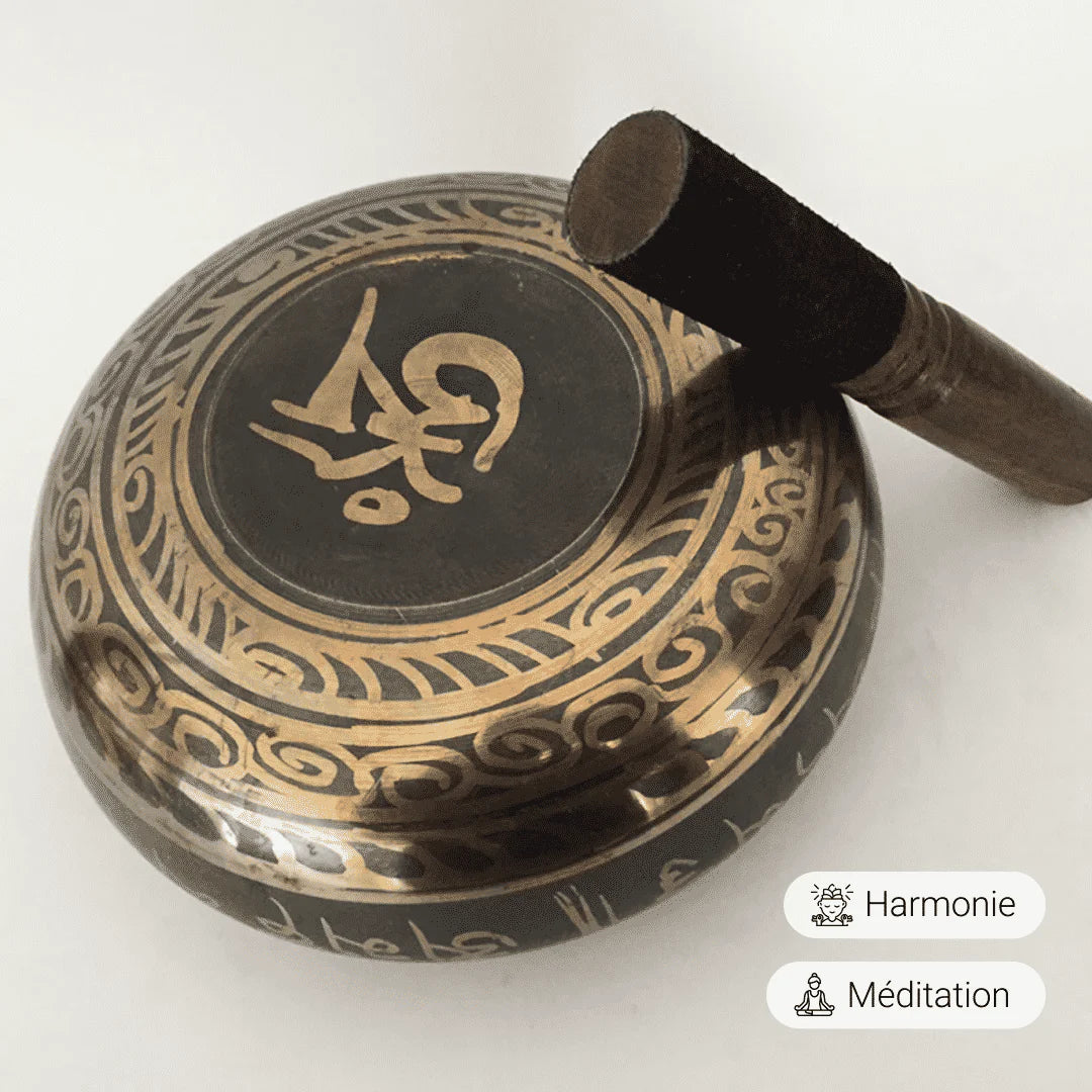 Bol Chantant du Népal